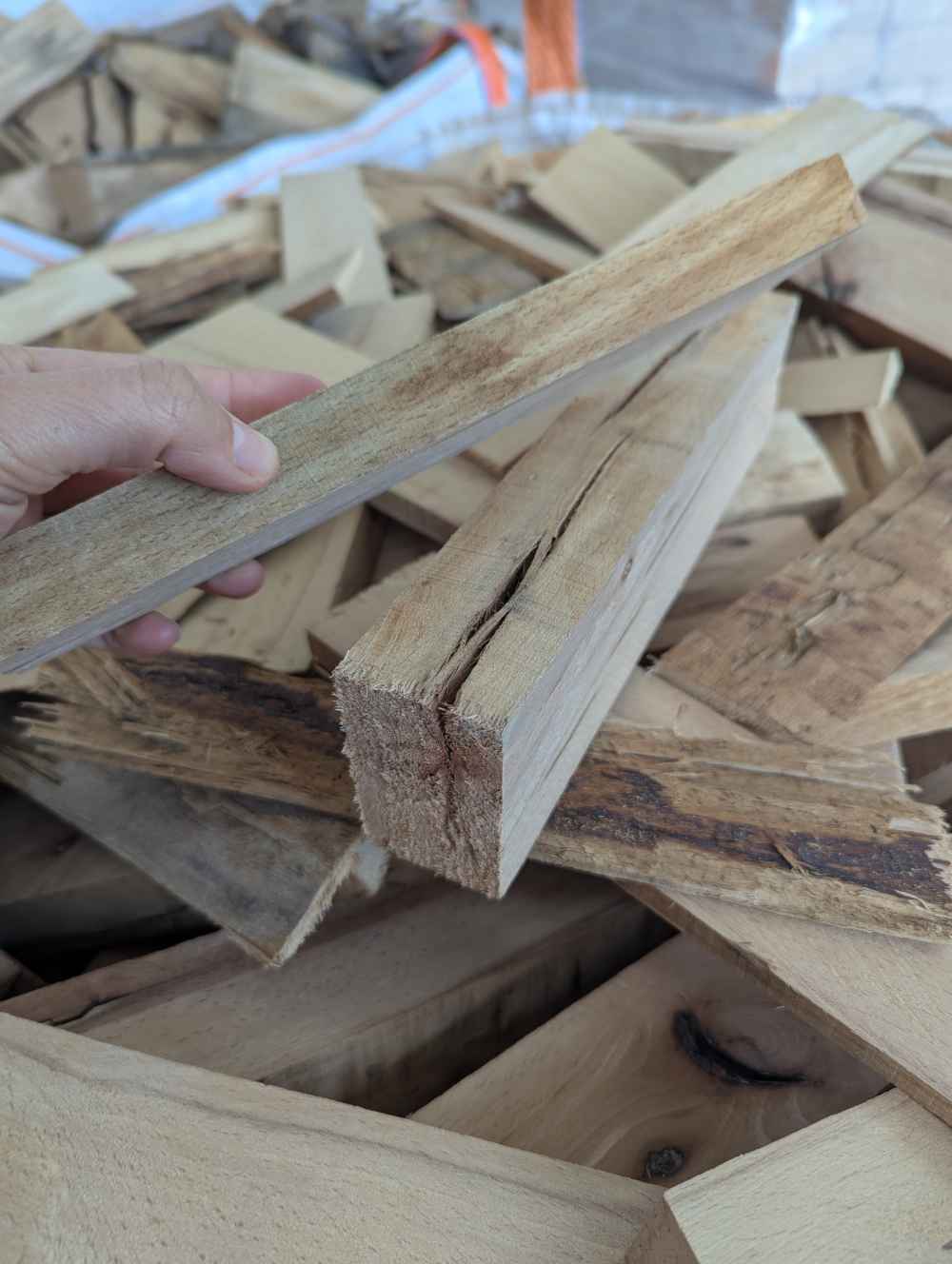 Brennholz Buche dünn Raschelsack