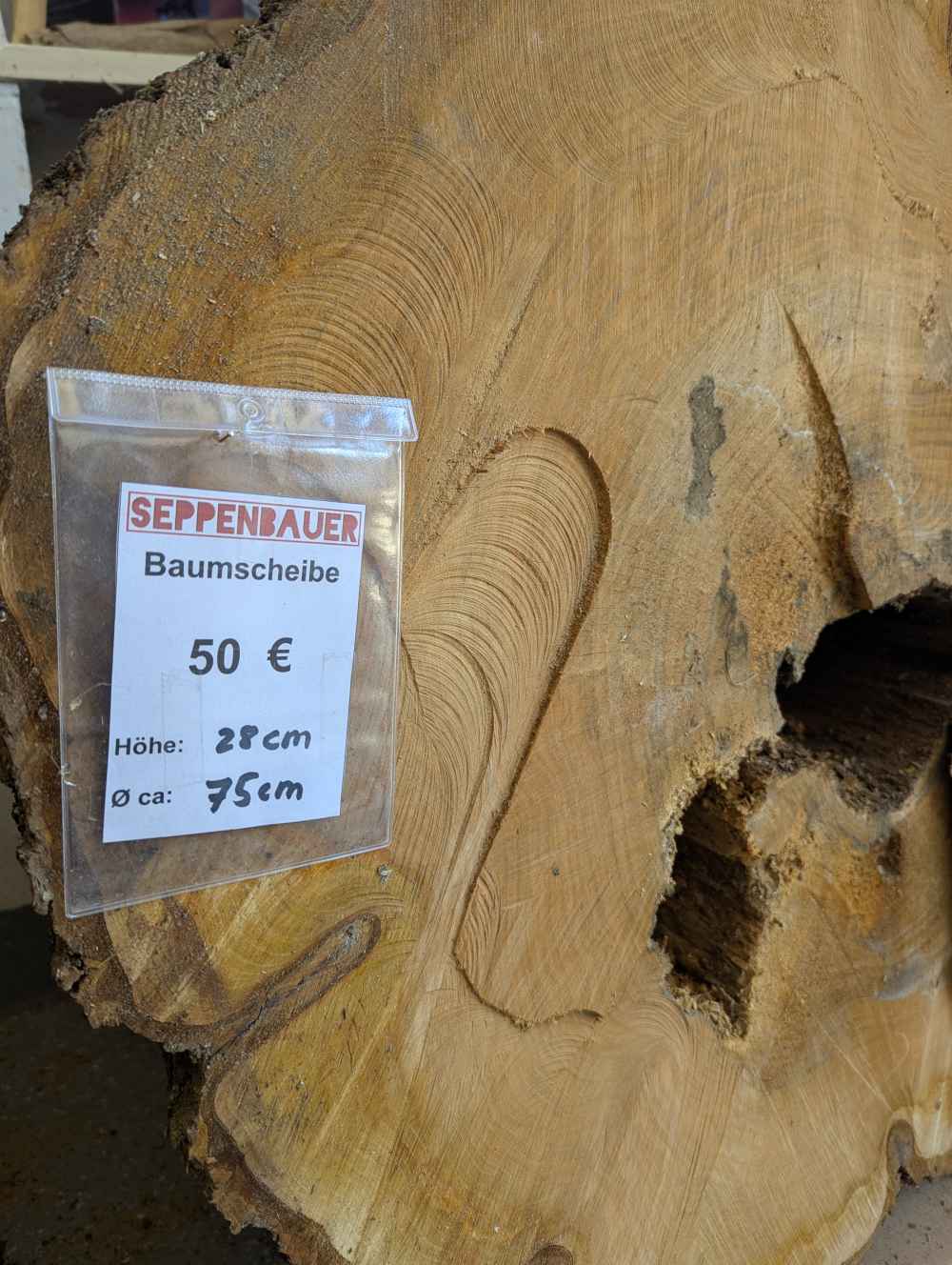 Baumscheibe groß (Nr.1)