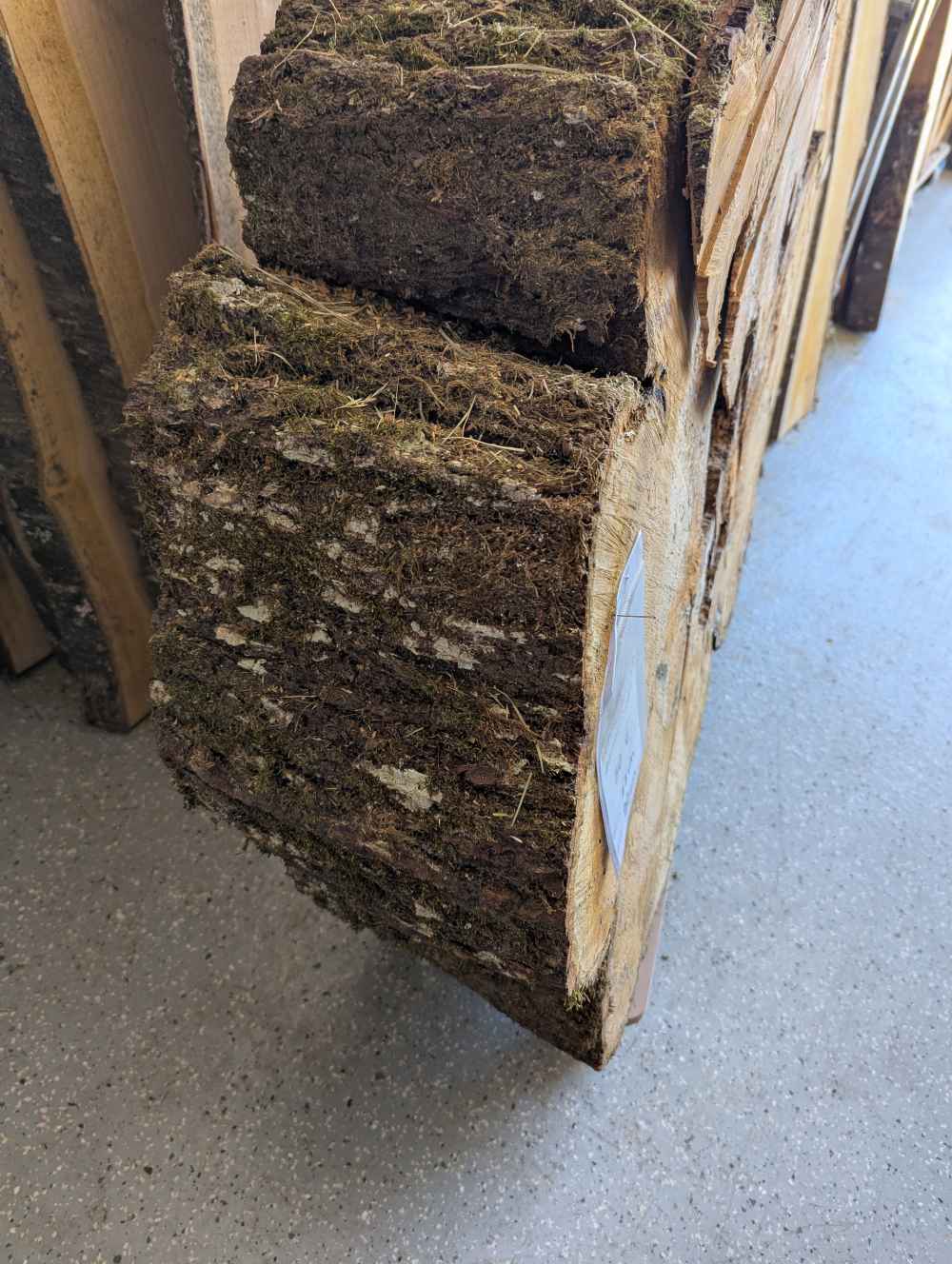 Baumscheibe groß (Nr.2)