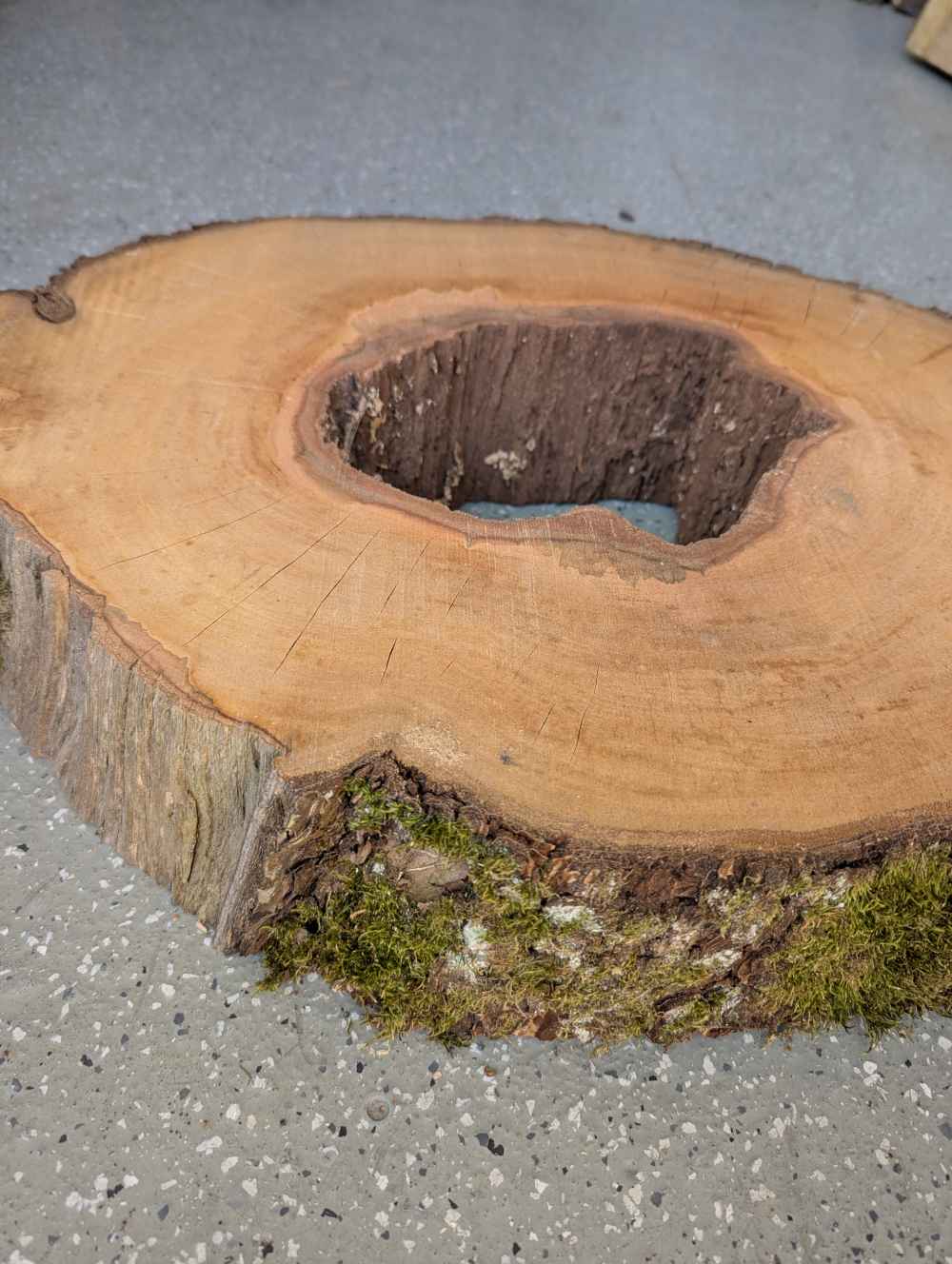 Baumscheibe Birne mit Loch