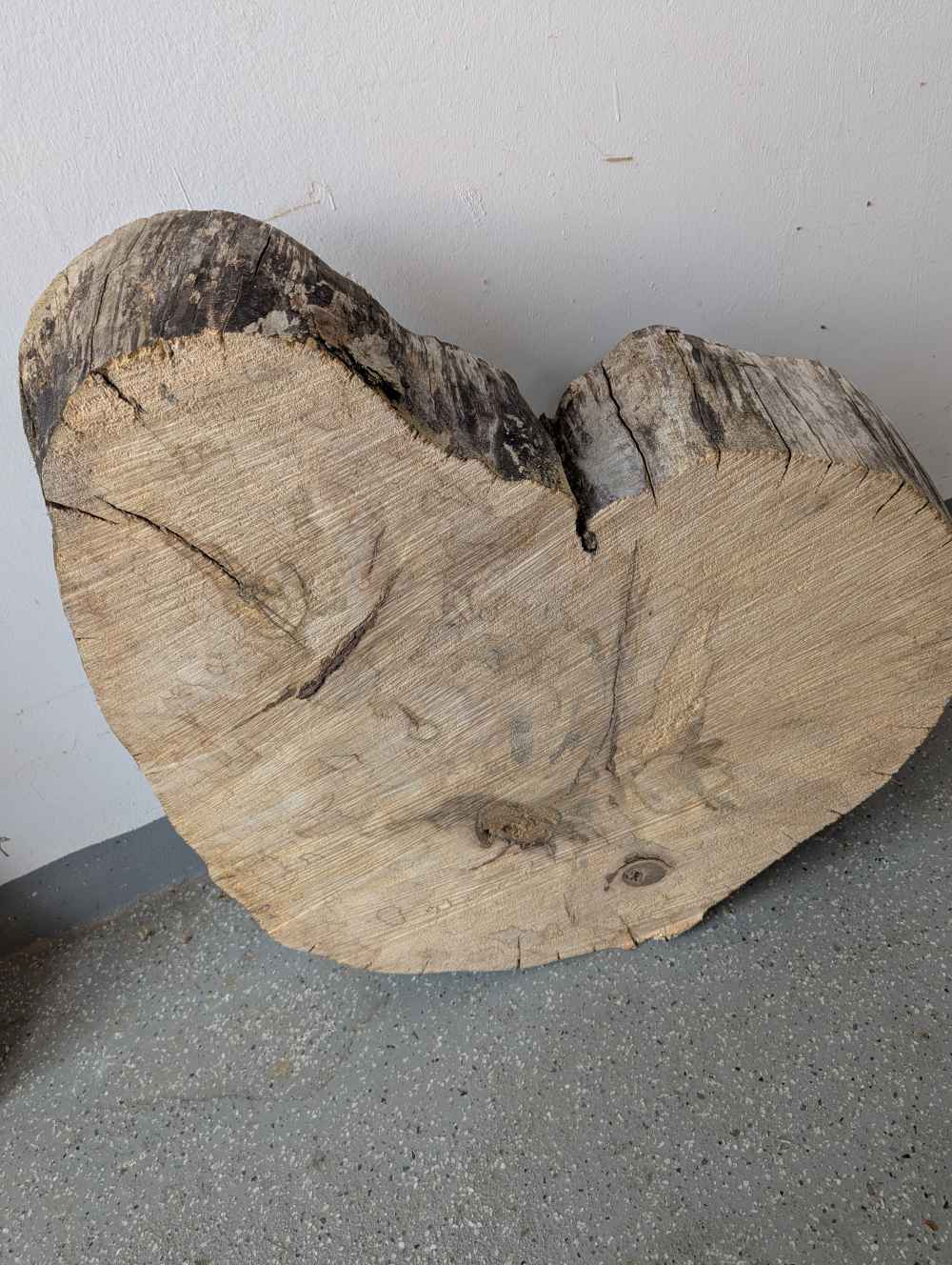 Große Baumscheibe Herz