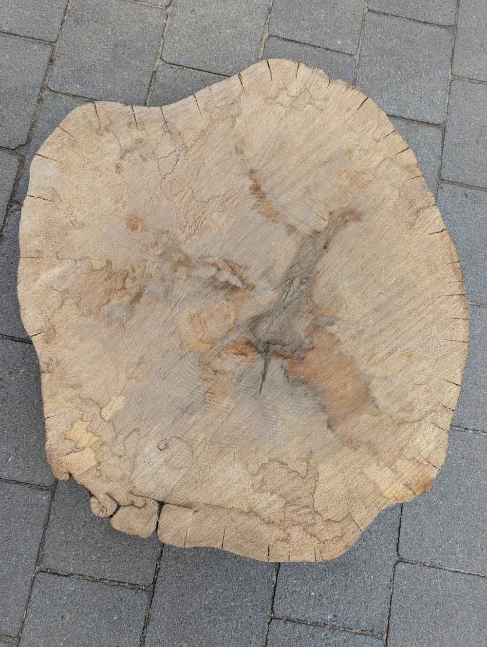 Große Baumscheibe rund