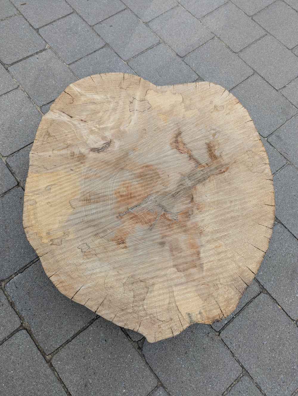 Große Baumscheibe Apfelsine