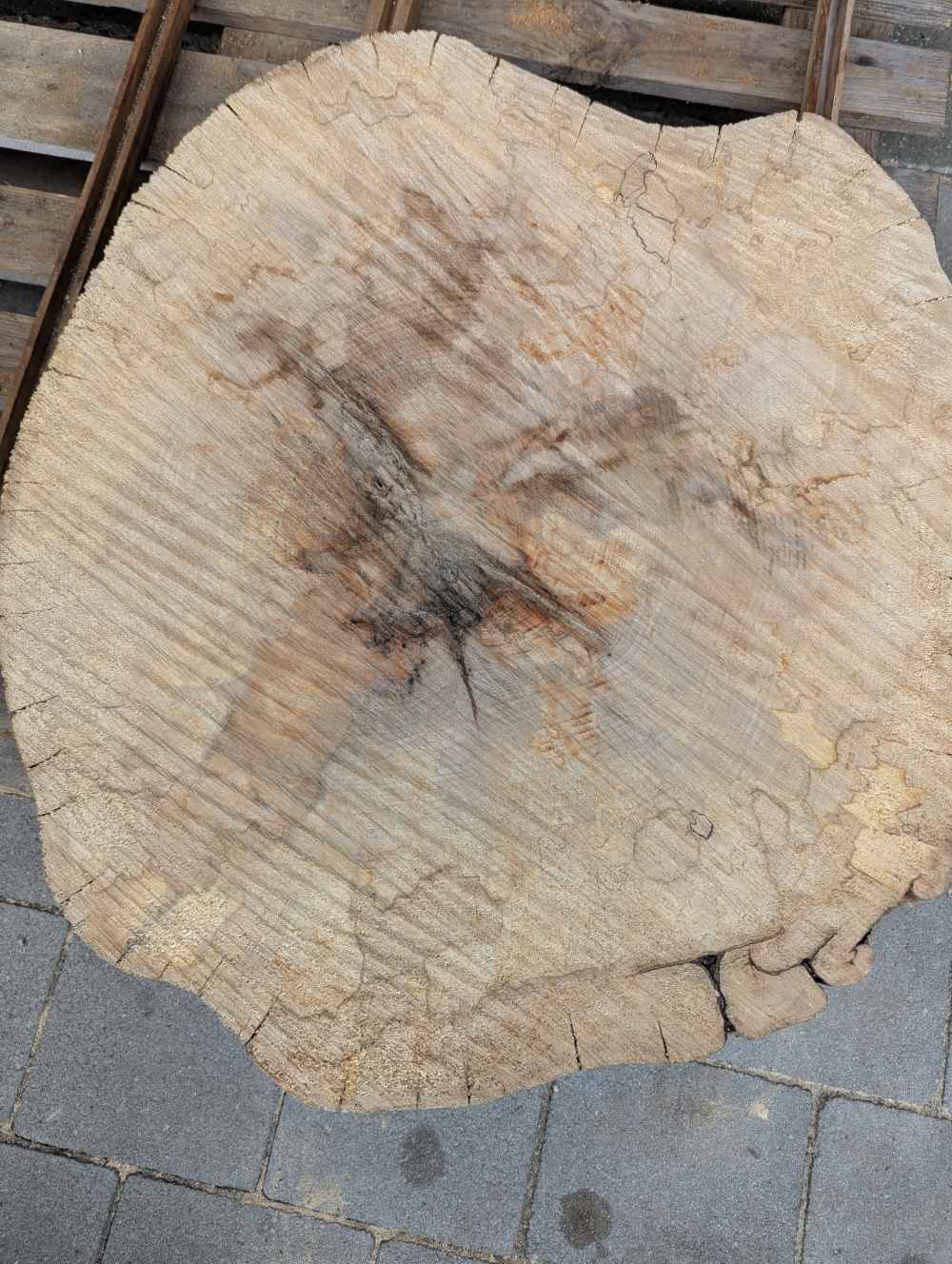 Große Baumscheibe rund