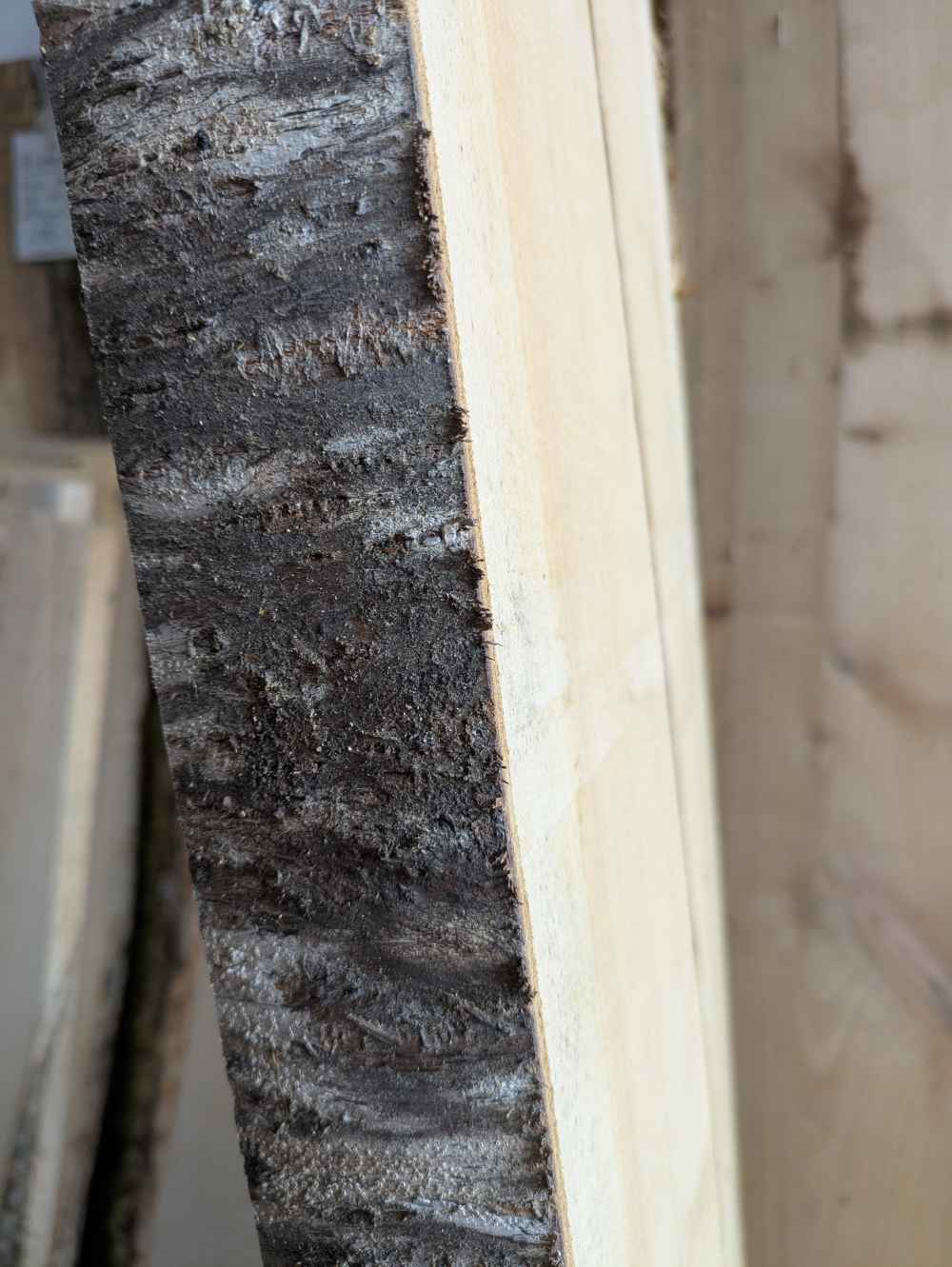 Brett Kirsche mit Rinde